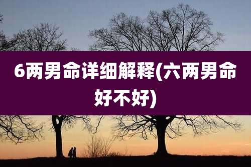 6两男命详细解释(六两男命好不好)