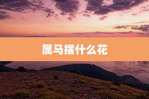 属马摆什么花