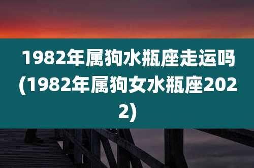 1982年属狗水瓶座走运吗(1982年属狗女水瓶座2022)
