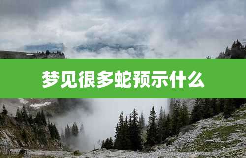 梦见很多蛇预示什么