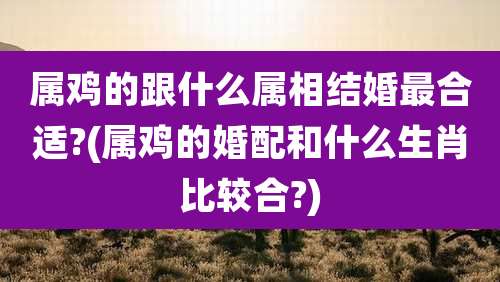 属鸡的跟什么属相结婚最合适?(属鸡的婚配和什么生肖比较合?)