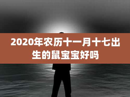 2020年农历十一月十七出生的鼠宝宝好吗