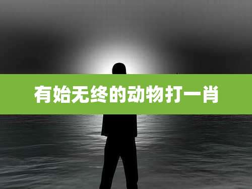 有始无终的动物打一肖