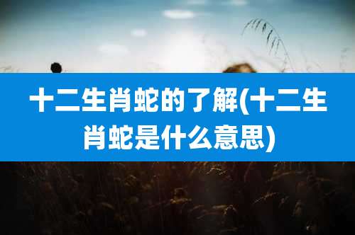 十二生肖蛇的了解(十二生肖蛇是什么意思)