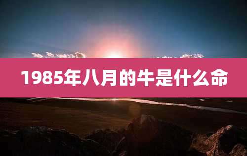 1985年八月的牛是什么命