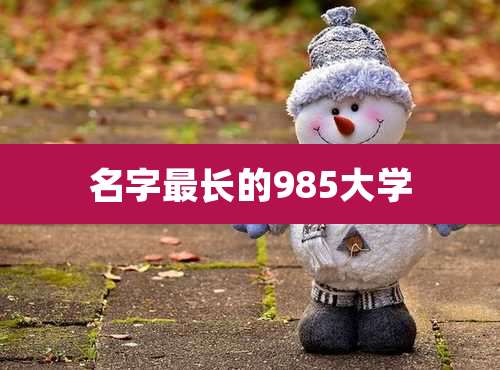 名字最长的985大学