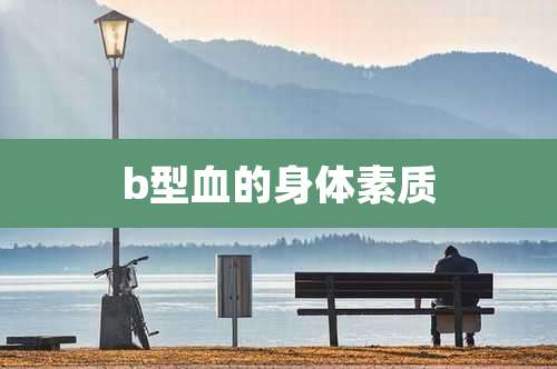 b型血的身体素质