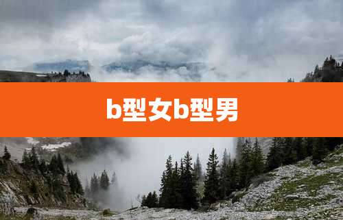 b型女b型男