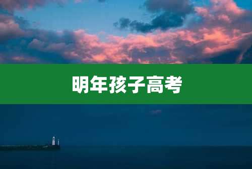 明年孩子高考