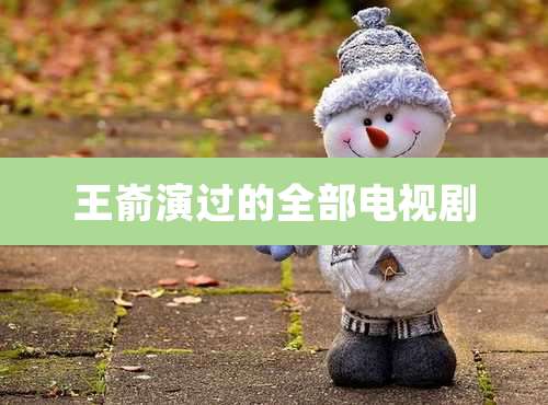 王嵛演过的全部电视剧