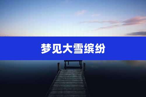 梦见大雪缤纷