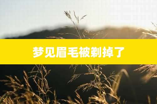 梦见眉毛被剃掉了