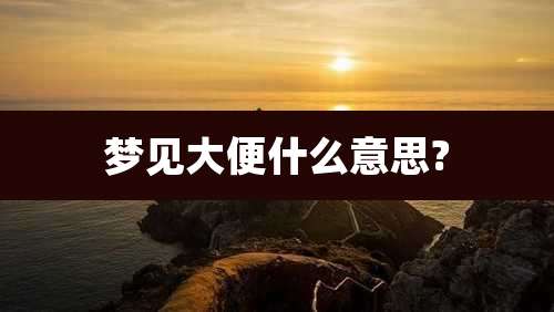 梦见大便什么意思?
