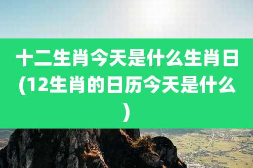 十二生肖今天是什么生肖日(12生肖的日历今天是什么)