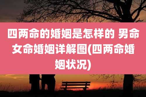 四两命的婚姻是怎样的 男命女命婚姻详解图(四两命婚姻状况)