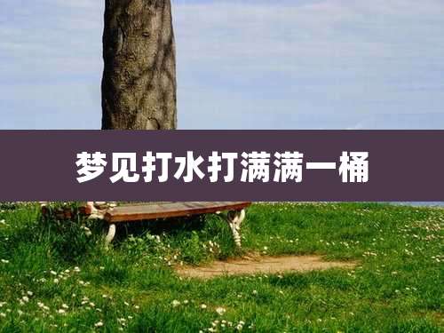 梦见打水打满满一桶