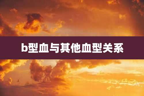 b型血与其他血型关系