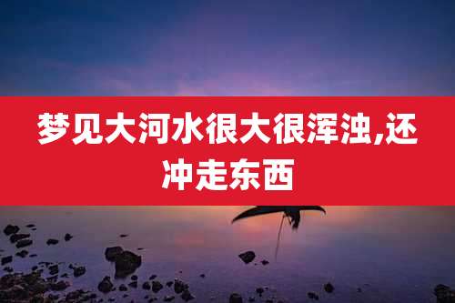 梦见大河水很大很浑浊,还冲走东西