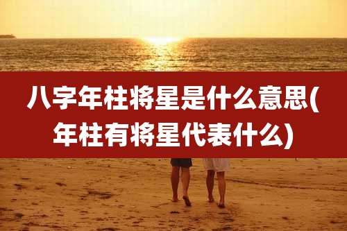 八字年柱将星是什么意思(年柱有将星代表什么)