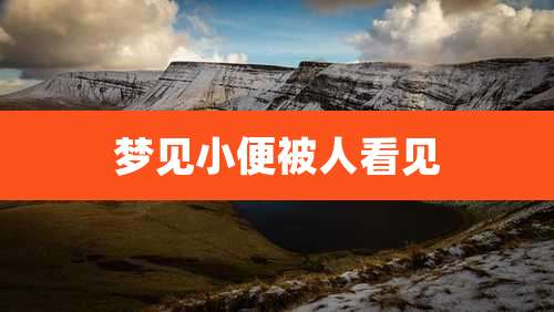 梦见小便被人看见