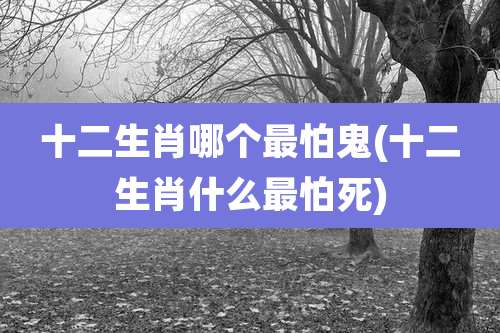 十二生肖哪个最怕鬼(十二生肖什么最怕死)