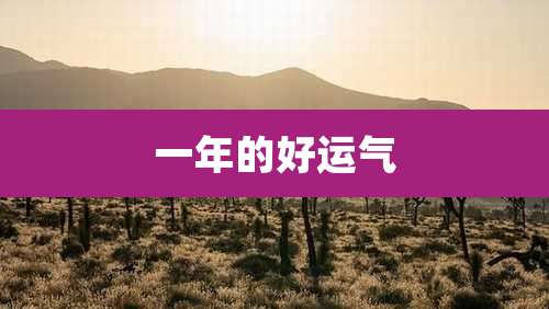 一年的好运气