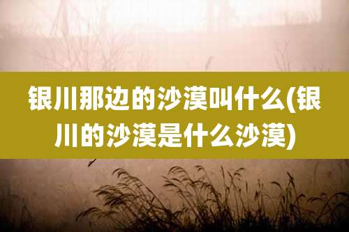 银川那边的沙漠叫什么(银川的沙漠是什么沙漠)