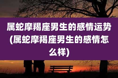 属蛇摩羯座男生的感情运势(属蛇摩羯座男生的感情怎么样)