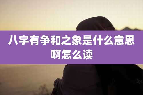 八字有争和之象是什么意思啊怎么读