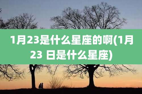 1月23是什么星座的啊(1月23 日是什么星座)