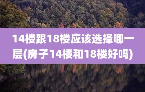 14楼跟18楼应该选择哪一层(房子14楼和18楼好吗)