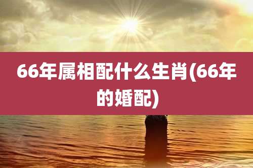 66年属相配什么生肖(66年的婚配)