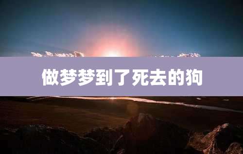 做梦梦到了死去的狗