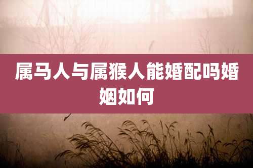 属马人与属猴人能婚配吗婚姻如何