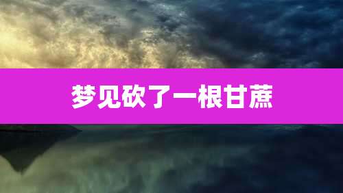 梦见砍了一根甘蔗