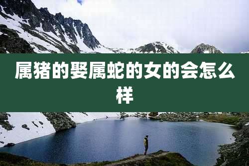 属猪的娶属蛇的女的会怎么样