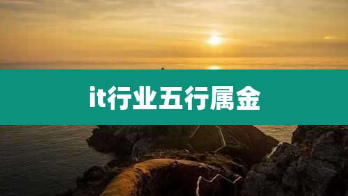 it行业五行属金