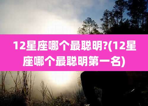 12星座哪个最聪明?(12星座哪个最聪明第一名)