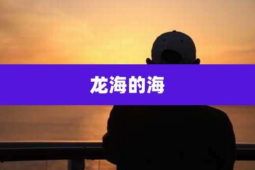 龙海的海