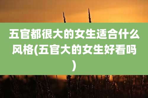 五官都很大的女生适合什么风格(五官大的女生好看吗)