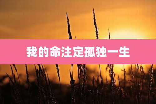 我的命注定孤独一生