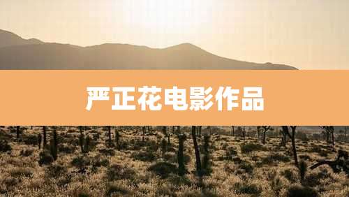 严正花电影作品