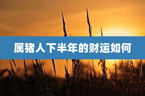 属猪人下半年的财运如何