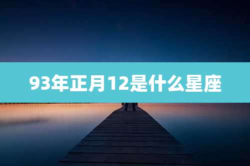 93年正月12是什么星座
