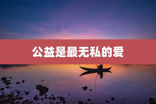 公益是最无私的爱