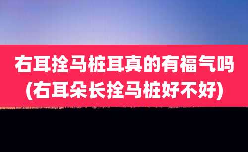 右耳拴马桩耳真的有福气吗(右耳朵长拴马桩好不好)