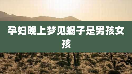 孕妇晚上梦见蝎子是男孩女孩