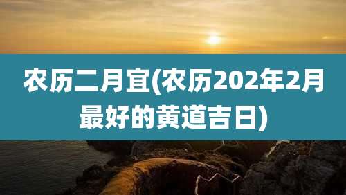 农历二月宜(农历202年2月最好的黄道吉日)