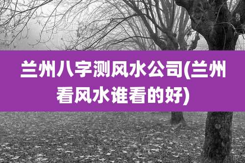 兰州八字测风水公司(兰州看风水谁看的好)