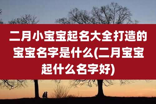 二月小宝宝起名大全打造的宝宝名字是什么(二月宝宝起什么名字好)